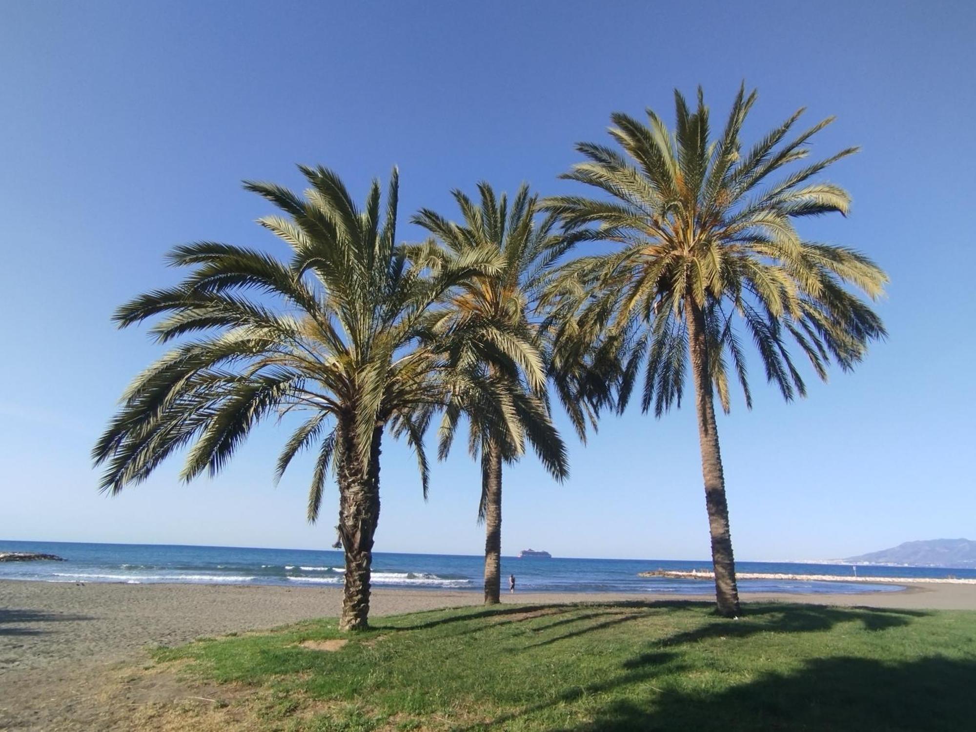 Alhondiga El Palo Appartamento Málaga